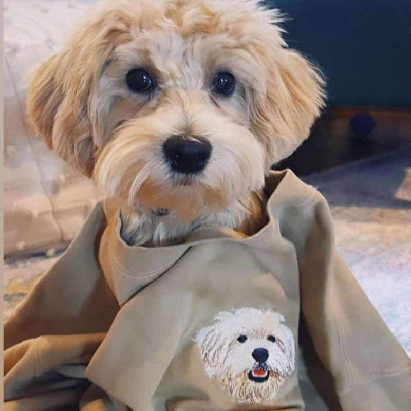 Custom Pet Embroidered Gifts For Pet Lover Custom Pet Face and Pet name Sweatshirt